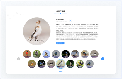 青海鳥類資源庫網(wǎng)站設(shè)計、交互設(shè)計、UI設(shè)計、鳥類資源庫網(wǎng)站設(shè)計、高端網(wǎng)站設(shè)計