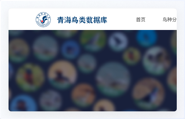 青海鳥類資源庫網(wǎng)站設(shè)計、交互設(shè)計、UI設(shè)計、鳥類資源庫網(wǎng)站設(shè)計、高端網(wǎng)站設(shè)計